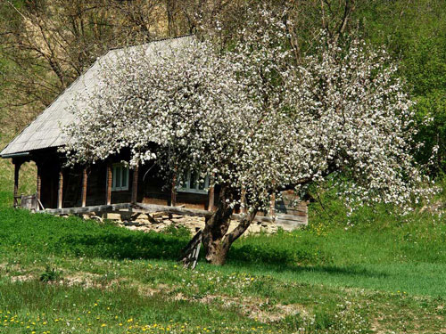 Casa Maramures